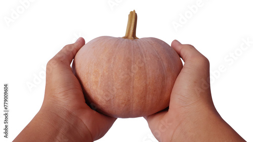 Hands holding pumpkin isolated on white background