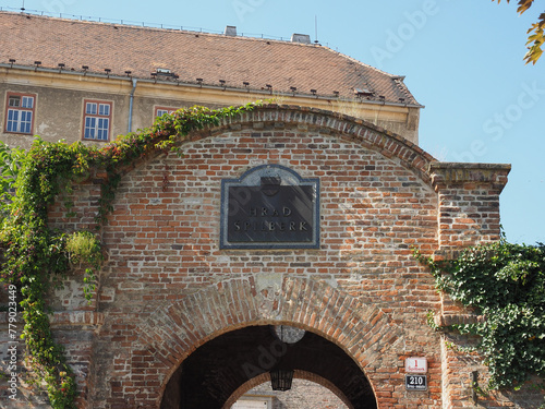 Spielberg castle in Brno photo