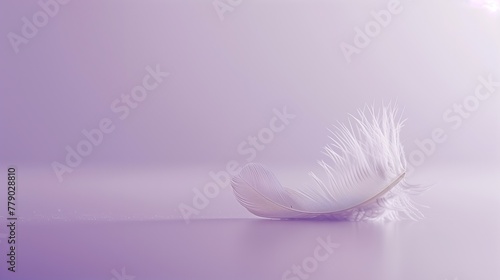 A lone feather delicately placed on a soft lavender background