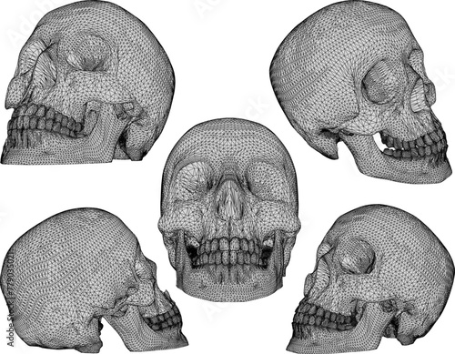 illustration sketch design vector image of a human head skull for the practice of black magic
