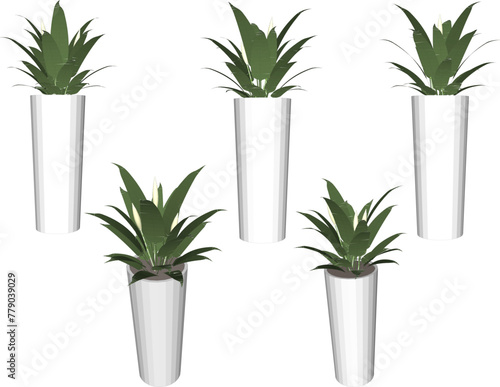 vector design sketch illustration of beautiful ornamental plants in pots for home interior table decoration