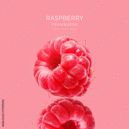 Creative layout made of raspberry on the pink background. Food concept. Macro concept.