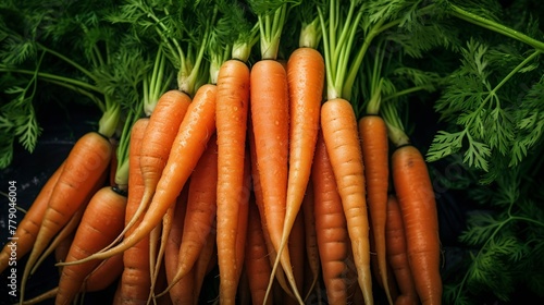 A photo of a close-up of freshly harvested carrots.
