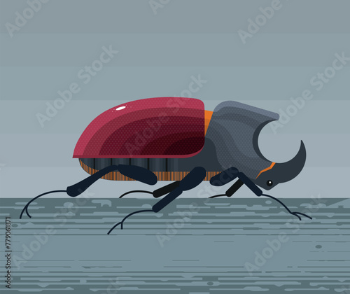 Rhinoceros beetle