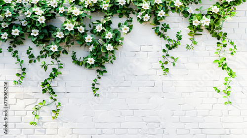 Ivory-colored brick wall adorned with cascading green ivy and interspersed white flowers, presenting a tranquil, natural aesthetic.