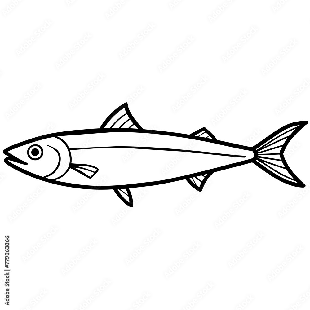 Sardines fish on a white background.
Sardines fish on a white background.