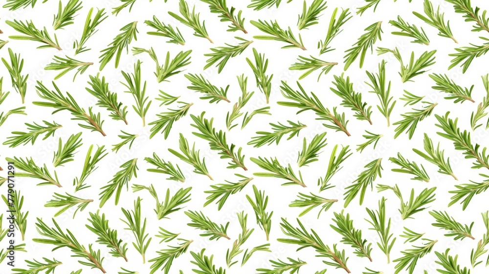 Rosemary sprigs, culinary and aromatic, on white Rosemary sprigs, culinary and aromatic, on white