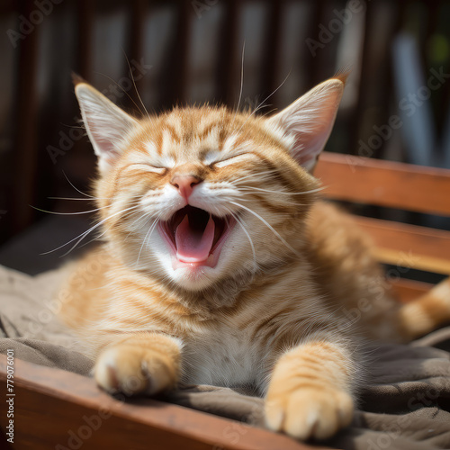 Yawning in cats is a fascinating expression of feline behavior, often associated with relaxation and comfort. While sometimes a precursor to sleep © Napapat