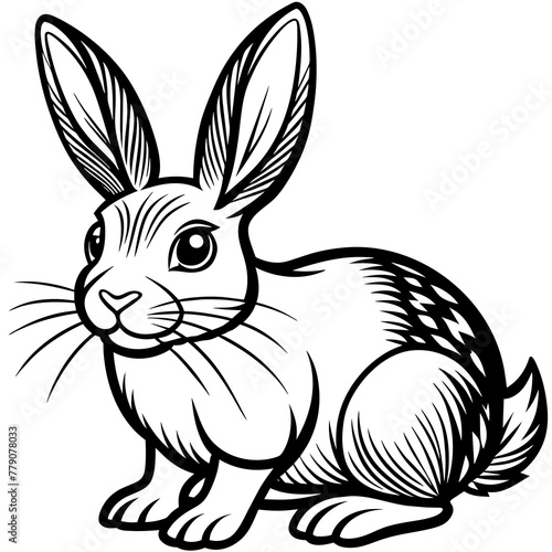 cute-rabbit--coloring-page