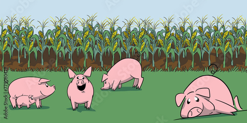 Pig, her little pig and a pig lying on the grass and a pig grazing the grass in a pasture whit a cornfield in the background  in a clear summer day, very happy with animal welfare