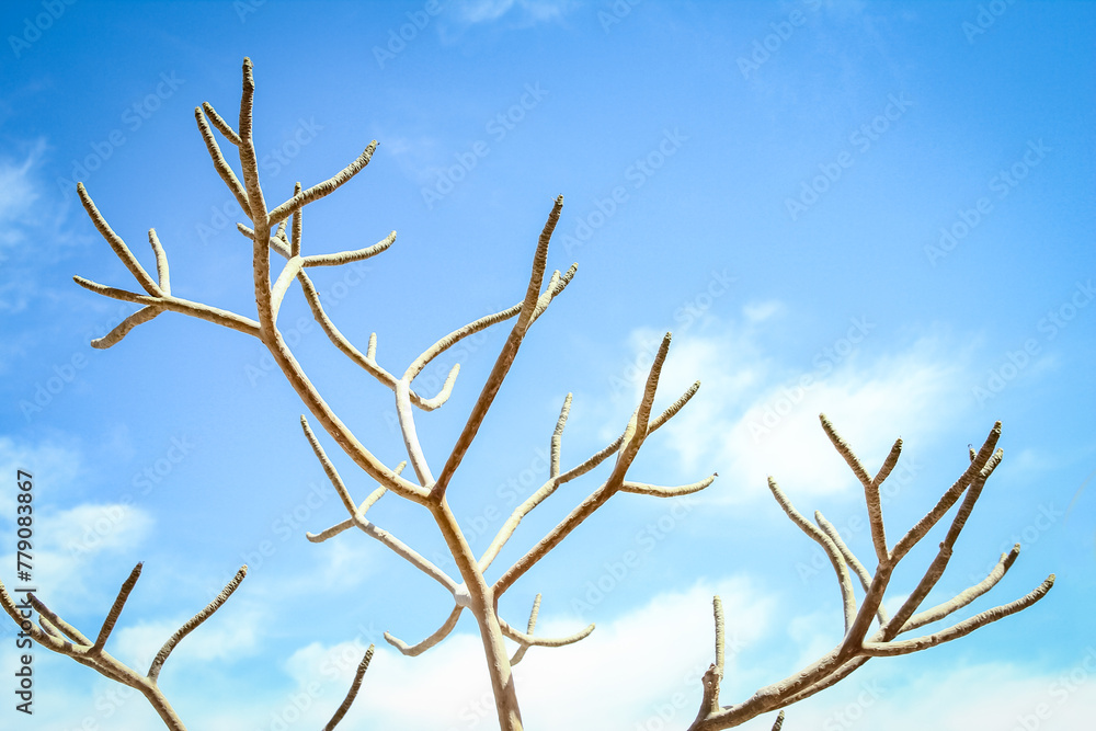 Beautiful bare trees on the sea nature background