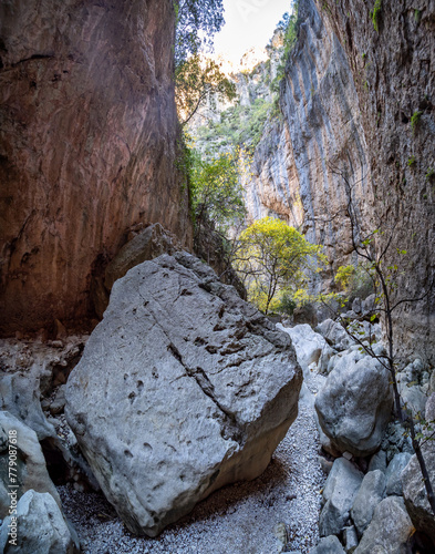 Green Gorge in Grazalema Mountain range, Spain