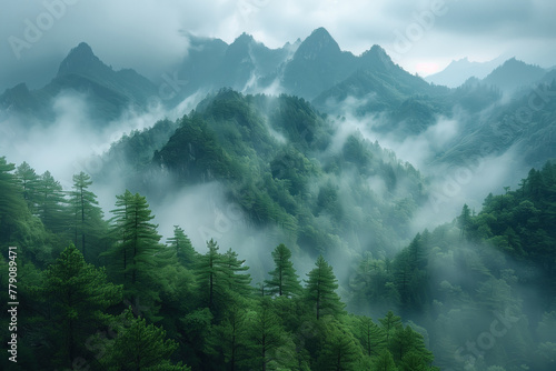 Mountain landscape with fog and pine trees in Huangshan, China photo