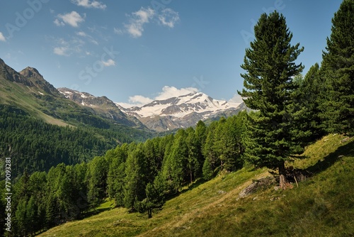 Alpine panorama during the summer in the South Tyrol © Antonio