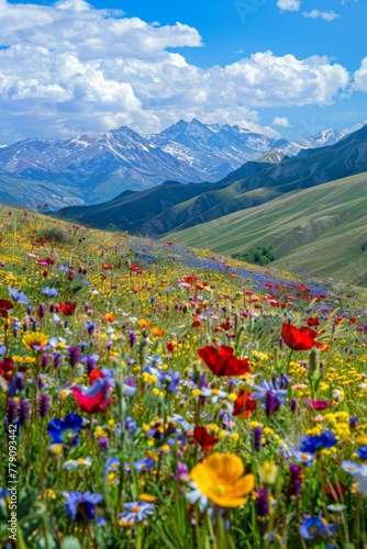 Bright colors, nature, vast grasslands, colorful flower seas, 