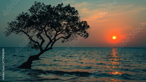 Silhouette of tree in sea at sunset background