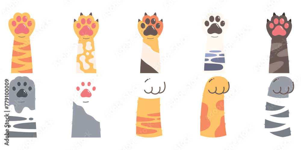 Fototapeta premium Paw Cat Vector