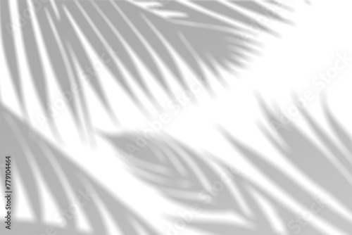 Realistic palm leaf shadow overlay effect isolated on transparent background. Tropical plant leaves blur shadows on a white wall. .White and Black for overlaying a photo or mockup