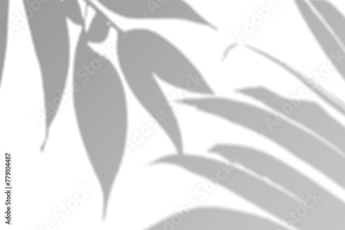 Fototapeta Naklejka Na Ścianę i Meble -  Realistic Tropical leaves shadow overlay effect isolated on transparent background. Exotic plant leaves blur shadows on a white wall. .White and Black for overlaying a photo or mockup
