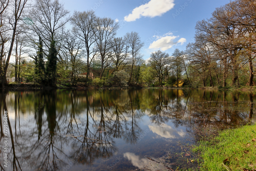 Water mill pond in Ovelgönne, Low Saxony