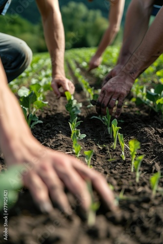 Farmers consulting with agricultural experts  seeking guidance on topics such as crop rotation  soil health  pest management  and sustainable farming practices