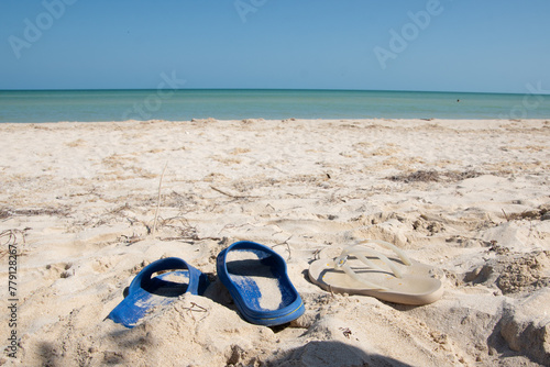 Sandals on the sand of the beach in front of the sea