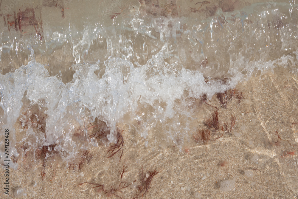 Fototapeta premium Beach with a little sargassum