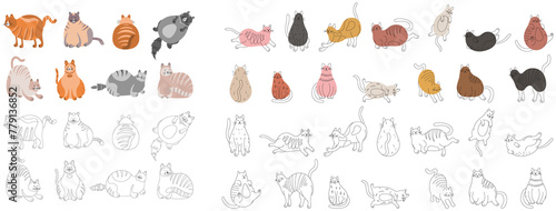 Set of cartoon cats different poses. Hand drawn illustration in doodle style isolate on white collection.