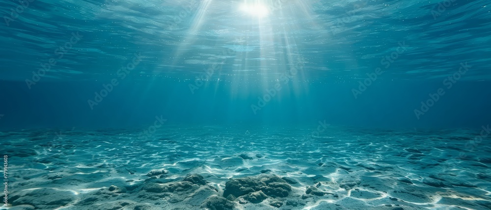   The sun illuminates the water above the sandy ocean floor, casting a pattern on the surface - obrazy, fototapety, plakaty 