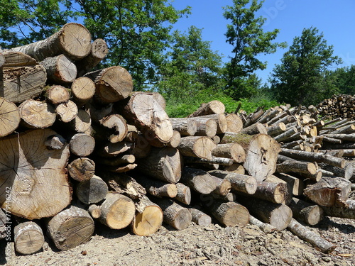 Catasta di legna in varie dimensioni