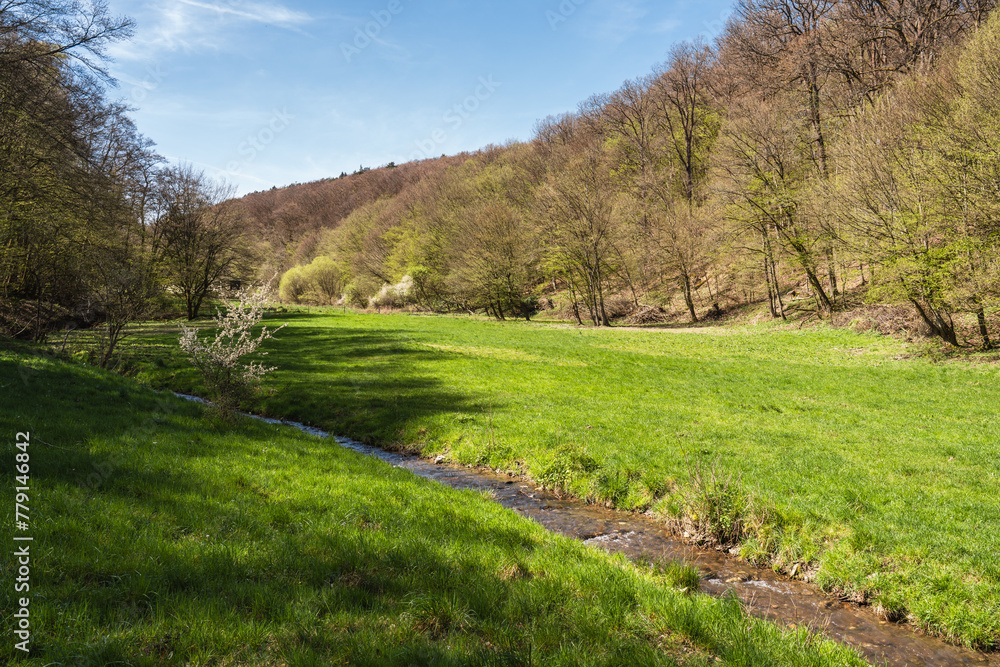 Obraz premium Grünes Tal mit Bach