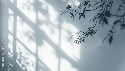 A white wall with the beautiful shadow of leaves and branches, in a minimalist style with a monochrome background, realistic shadows and soft lighting. Background for concept and presentation