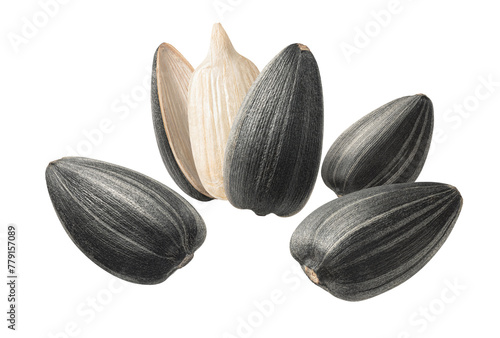 Flying sunflower seeds in circular shape. Isolated on white background photo