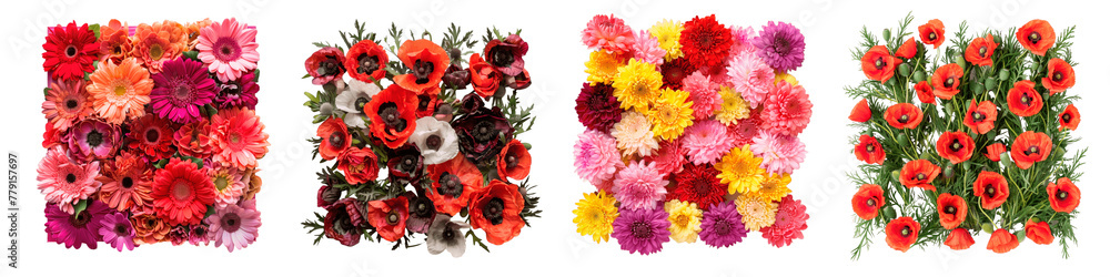 A collection of vibrant floral arrangements featuring various types of flowers A collection of vibrant floral arrangements featuring various types of flowers