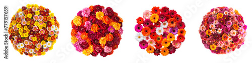 Four colorful flower spheres against a grey background