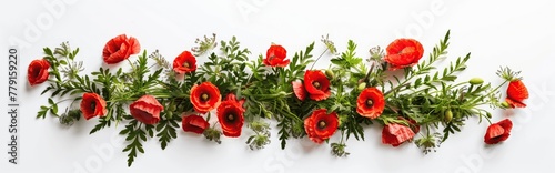 A vibrant arrangement of red poppies and green foliage laid out on a white background