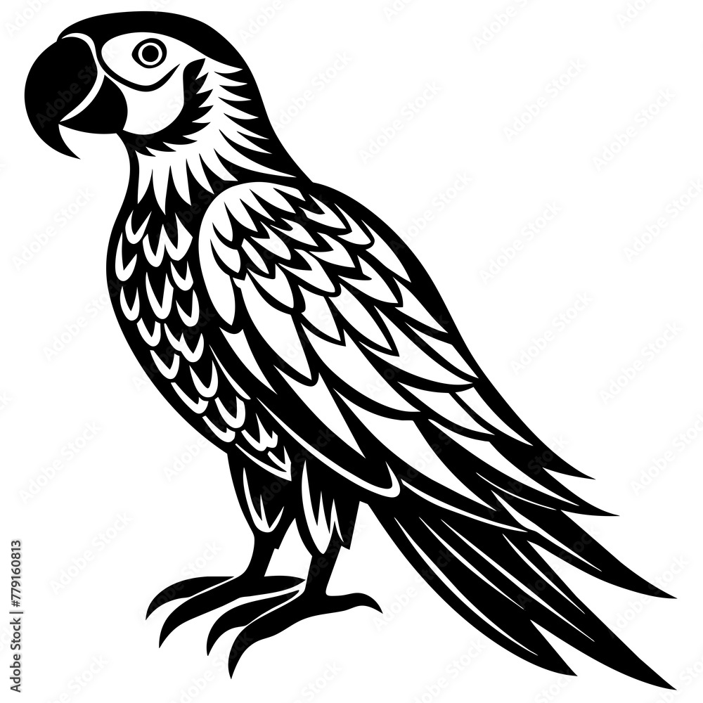 scarlet-macaw silhouette vector illustration svg file