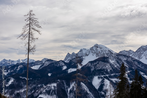 Panoramic view on snow capped mountain peaks of Karawanks and Julian Alps in Carinthia, Austria. Looking at summits Vertatscha and Hochstuhl. Remote alpine landscape in Baerental. Mystical cloudy sky © Chris