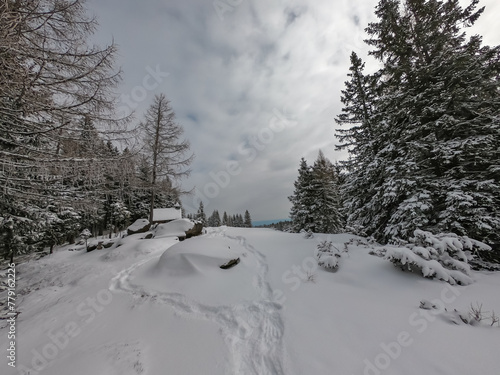 Path mark on tree on scenic hiking trail in snowy forest path leading to Reinischkogel, Koralpe, Lavanttal Alps, Styria, Austria. Winter wonderland with snow covered tall pine trees. Austrian Flag