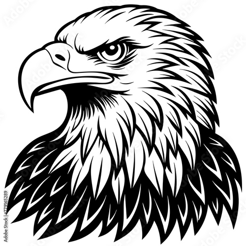 bald eagle silhouette vector illustration svg file