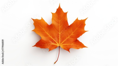 A single orange maple leaf on a white background.