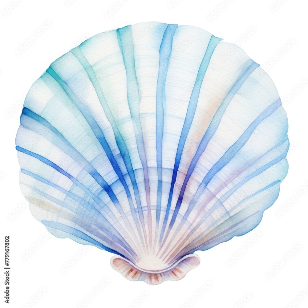 Fototapeta premium Watercolor, blue shell on a white background.