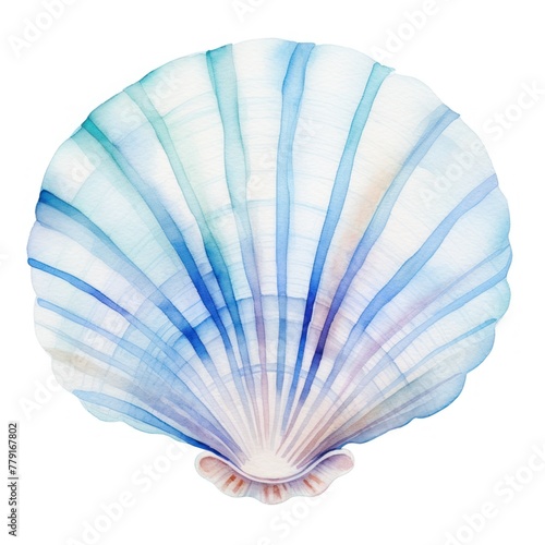 Watercolor  blue shell on a white background.