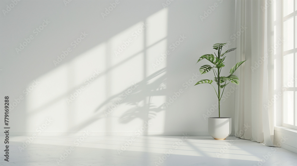 A Study in Elegance: Clean White Background, Empty Room A Study in Elegance: Clean White Background, Empty Room
