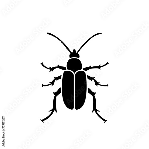 Beetle with large antennae
