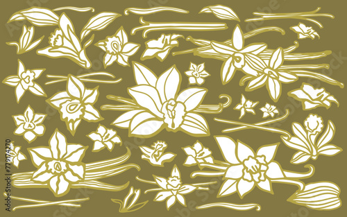 Isolated vector set of vanilla. Gold vanilla sticks, vanilla flower and pods. Aroma, food, cookery.  Hand drawn. Vector hand drawn illustration of vanilla flower, bean and pods on isolated background.