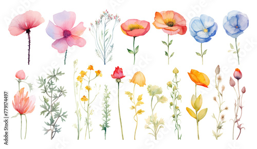 Set of floral branch elements. Watercolor flowers and green leaves. Wedding with floral poster, invite. Vector arrangements for greeting card or wedding invitation design vector illustration