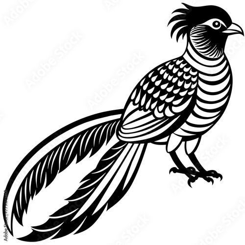 quetzal silhouette vector illustration svg file