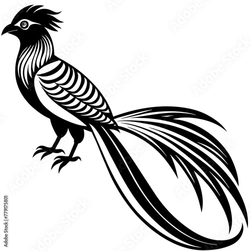 quetzal silhouette vector illustration svg file