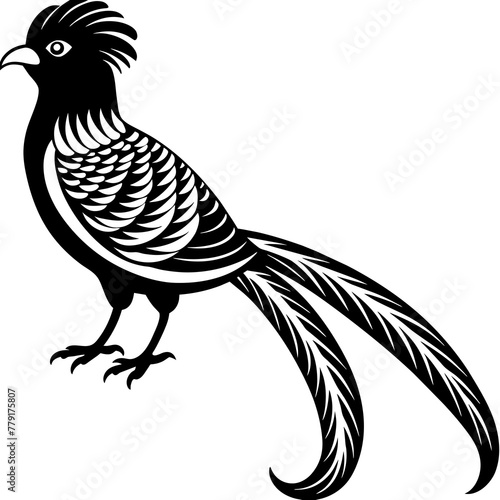 quetzal silhouette vector illustration svg file